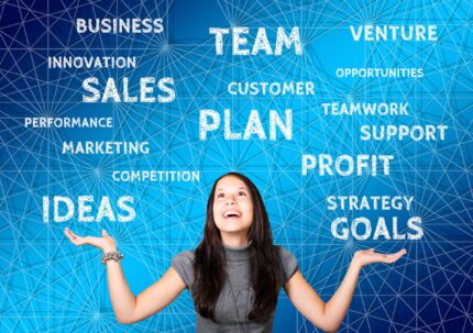 Fidelización de Clientes (Segmentación de Clientes y Estrategia de Fidelización)
